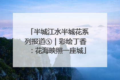半城江水半城花系列报道⑤｜彩绘丁香：花海映照一座城