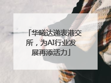 华曦达递表港交所，为AI行业发展再添活力