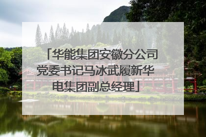 华能集团安徽分公司党委书记马冰武履新华电集团副总经理