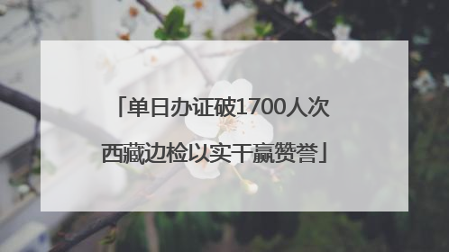 单日办证破1700人次 西藏边检以实干赢赞誉