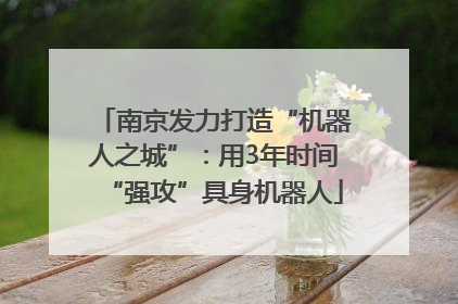 南京发力打造“机器人之城”：用3年时间“强攻”具身机器人