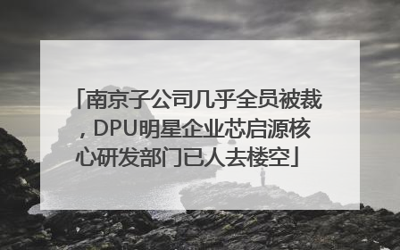 南京子公司几乎全员被裁，DPU明星企业芯启源核心研发部门已人去楼空