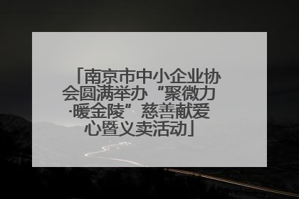南京市中小企业协会圆满举办“聚微力·暖金陵”慈善献爱心暨义卖活动