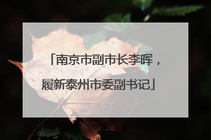 南京市副市长李晖，履新泰州市委副书记