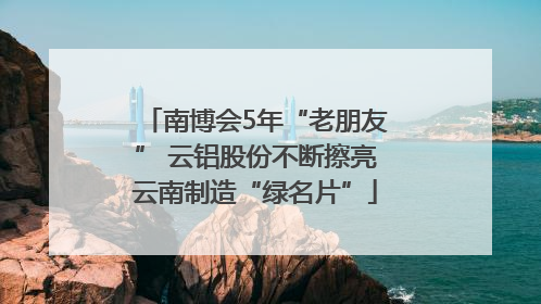 南博会5年“老朋友” 云铝股份不断擦亮云南制造“绿名片”