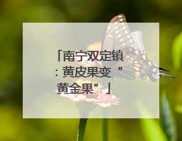 南宁双定镇：黄皮果变“黄金果”