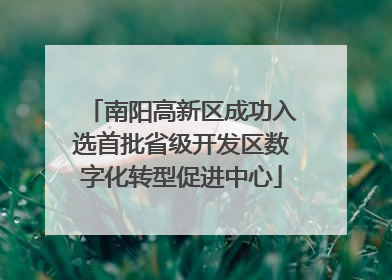 南阳高新区成功入选首批省级开发区数字化转型促进中心