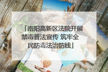 南阳高新区法院开展禁毒普法宣传 筑牢全民防毒法治防线