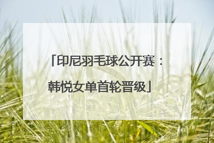 印尼羽毛球公开赛：韩悦女单首轮晋级