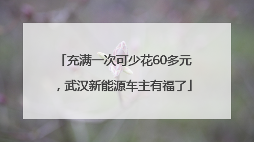 充满一次可少花60多元，武汉新能源车主有福了
