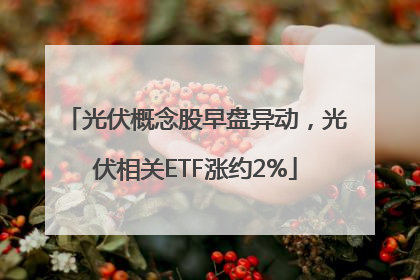光伏概念股早盘异动，光伏相关ETF涨约2%