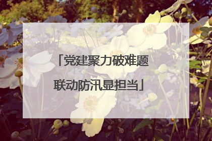 党建聚力破难题 联动防汛显担当