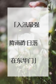 入汛最强降雨昨日落在东华门