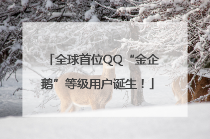 全球首位QQ“金企鹅”等级用户诞生！