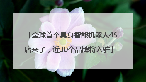 全球首个具身智能机器人4S店来了，近30个品牌将入驻