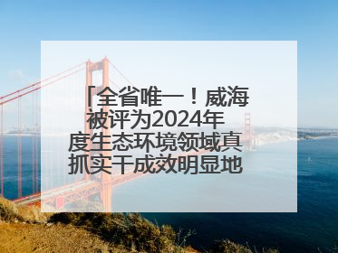 全省唯一！威海被评为2024年度生态环境领域真抓实干成效明显地方典型