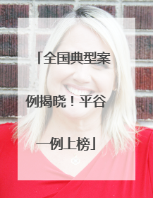 全国典型案例揭晓！平谷一例上榜