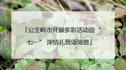 公主岭市开展多彩活动迎“七一” 深情礼赞颂党恩