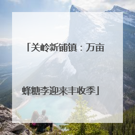 关岭新铺镇：万亩蜂糖李迎来丰收季