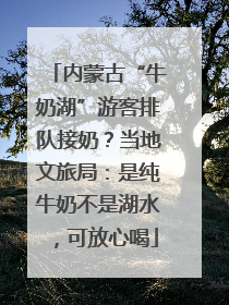 内蒙古“牛奶湖”游客排队接奶？当地文旅局：是纯牛奶不是湖水，可放心喝
