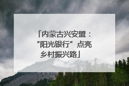 内蒙古兴安盟：“阳光银行”点亮乡村振兴路