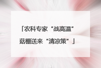 农科专家“战高温” 菇棚送来“清凉策”