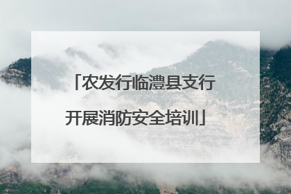 农发行临澧县支行开展消防安全培训