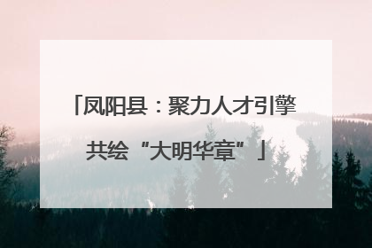 凤阳县：聚力人才引擎 共绘“大明华章”