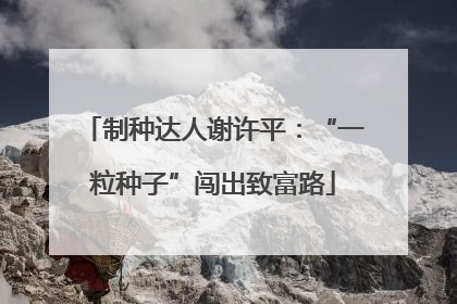 制种达人谢许平：“一粒种子”闯出致富路