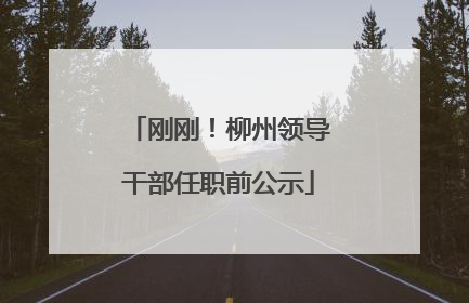 刚刚！柳州领导干部任职前公示