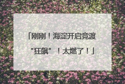 刚刚！海淀开启竞渡“狂飙”！太燃了！