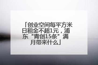 创业空间每平方米日租金不超1元，浦东“青创15条”满月带来什么