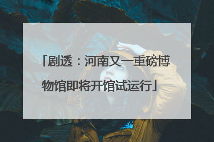 剧透：河南又一重磅博物馆即将开馆试运行