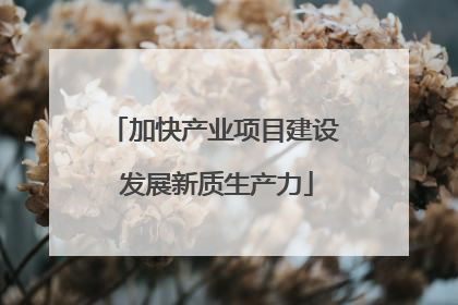 加快产业项目建设 发展新质生产力