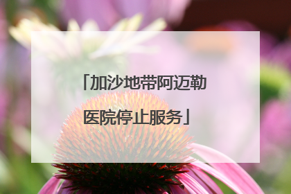加沙地带阿迈勒医院停止服务