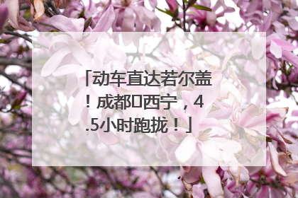 动车直达若尔盖！成都⇄西宁，4.5小时跑拢！