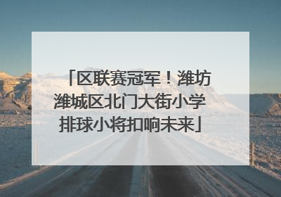 区联赛冠军！潍坊潍城区北门大街小学排球小将扣响未来