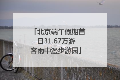 北京端午假期首日31.67万游客雨中漫步游园
