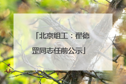 北京组工：翟德罡同志任前公示