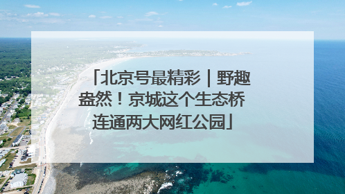 北京号最精彩｜野趣盎然！京城这个生态桥连通两大网红公园