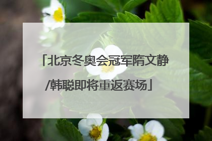 北京冬奥会冠军隋文静/韩聪即将重返赛场