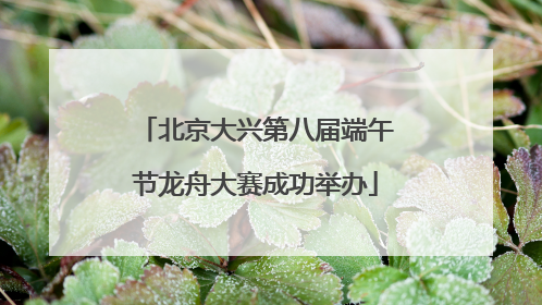 北京大兴第八届端午节龙舟大赛成功举办