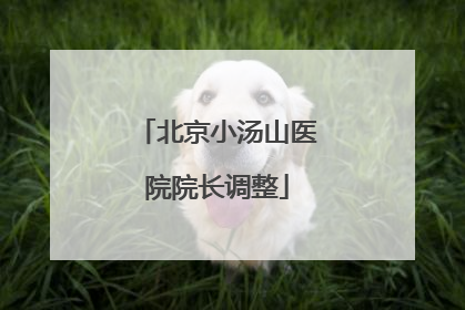 北京小汤山医院院长调整