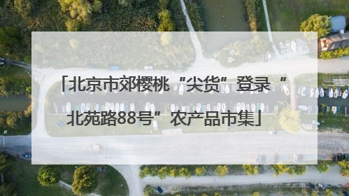 北京市郊樱桃“尖货”登录“北苑路88号”农产品市集