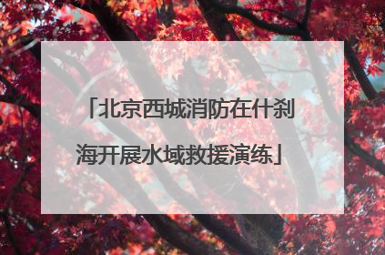 北京西城消防在什刹海开展水域救援演练