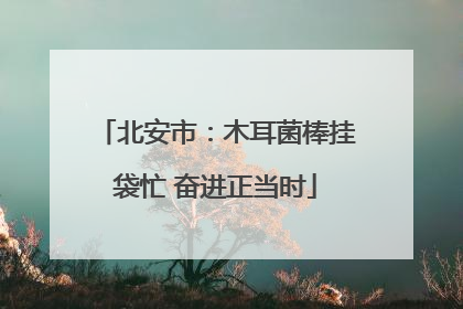 北安市：木耳菌棒挂袋忙 奋进正当时