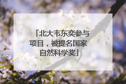 北大韦东奕参与项目，被提名国家自然科学奖