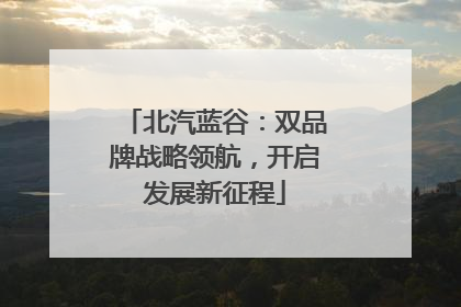 北汽蓝谷：双品牌战略领航，开启发展新征程