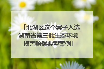 北湖区这个案子入选湖南省第三批生态环境损害赔偿典型案例