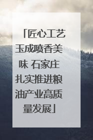 匠心工艺玉成喷香美味 石家庄扎实推进粮油产业高质量发展